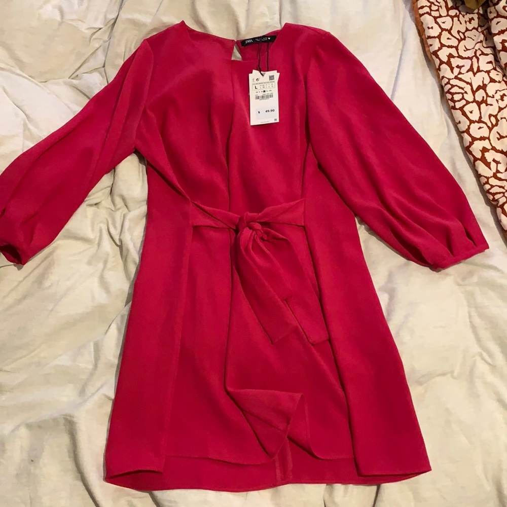 NWT size large Zara dress